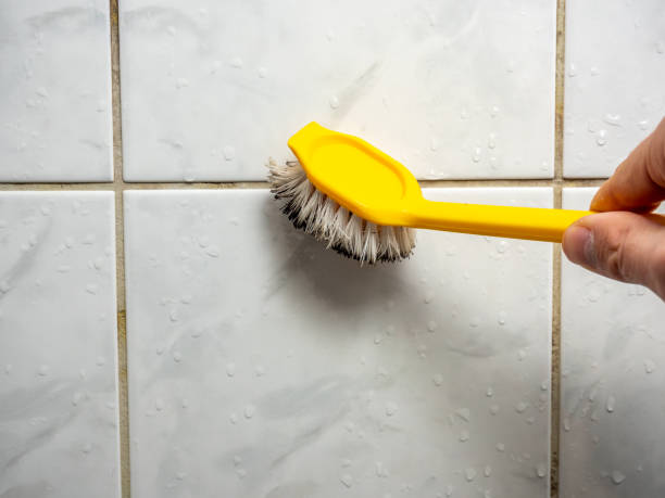 Best Office Mold Removal Services  in El Macero, CA