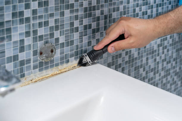 Best Mold Remediation  in El Macero, CA