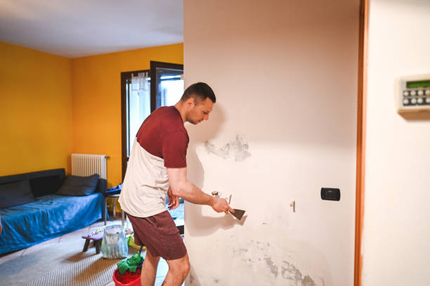 Best Local Mold Removal Service  in El Macero, CA
