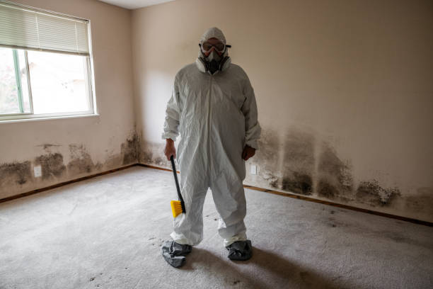 Best Certified Mold Removal  in El Macero, CA