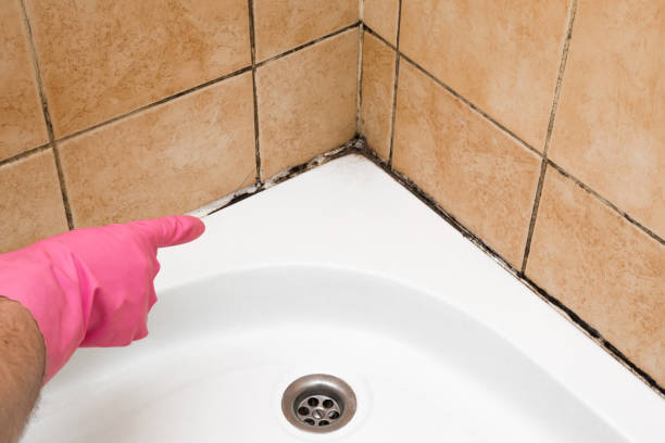 Best Mold Testing  in El Macero, CA